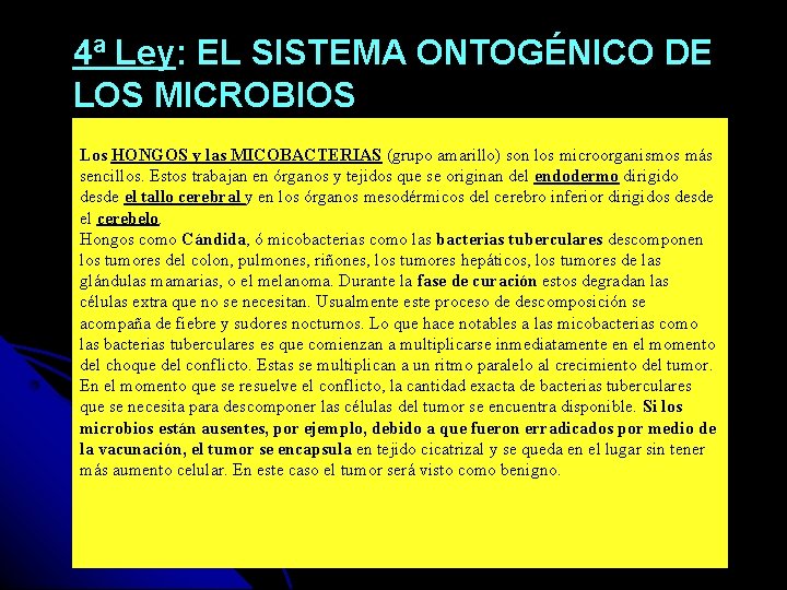 4ª Ley: EL SISTEMA ONTOGÉNICO DE LOS MICROBIOS Los HONGOS y las MICOBACTERIAS (grupo