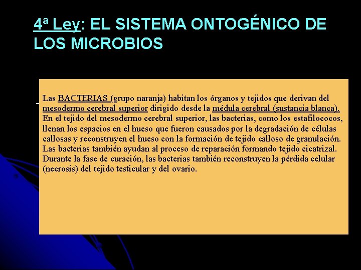 4ª Ley: EL SISTEMA ONTOGÉNICO DE LOS MICROBIOS Las BACTERIAS (grupo naranja) habitan los