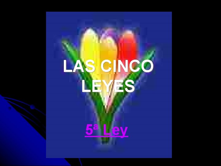 LAS CINCO LEYES 5ª Ley 