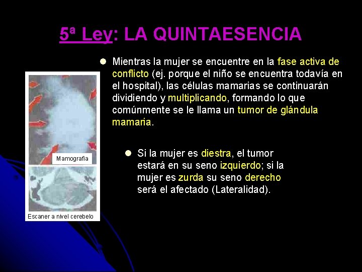 5ª Ley: LA QUINTAESENCIA Mientras la mujer se encuentre en la fase activa de