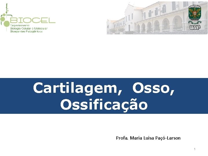 Cartilagem, Osso, Ossificação Profa. Maria Luisa Paçó-Larson 1 