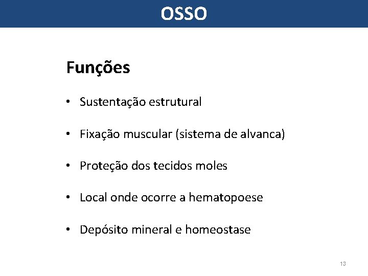OSSO Funções • Sustentação estrutural • Fixação muscular (sistema de alvanca) • Proteção dos