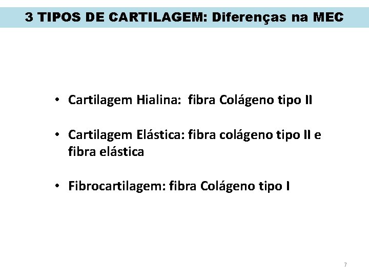 3 TIPOS DE CARTILAGEM: Diferenças na MEC • Cartilagem Hialina: fibra Colágeno tipo II