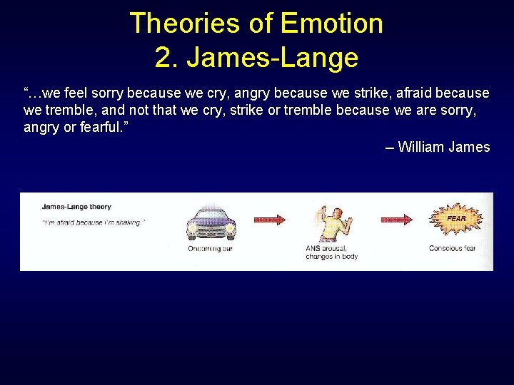 Theories of Emotion 2. James-Lange “…we feel sorry because we cry, angry because we