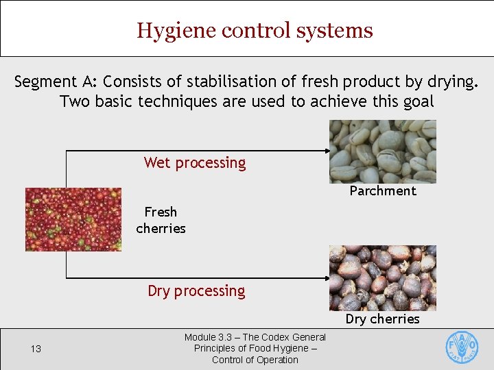 Hygiene control systems Segment A: Consists of stabilisation of fresh product by drying. Two