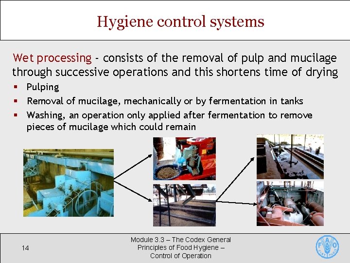 Hygiene control systems Wet processing - consists of the removal of pulp and mucilage