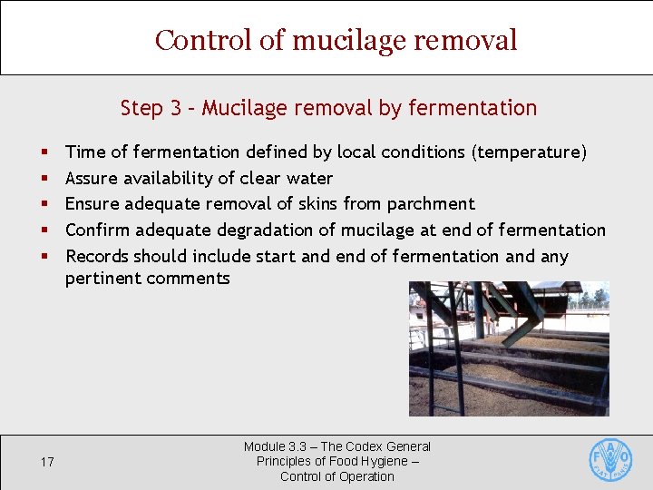 Control of mucilage removal Step 3 – Mucilage removal by fermentation § § §