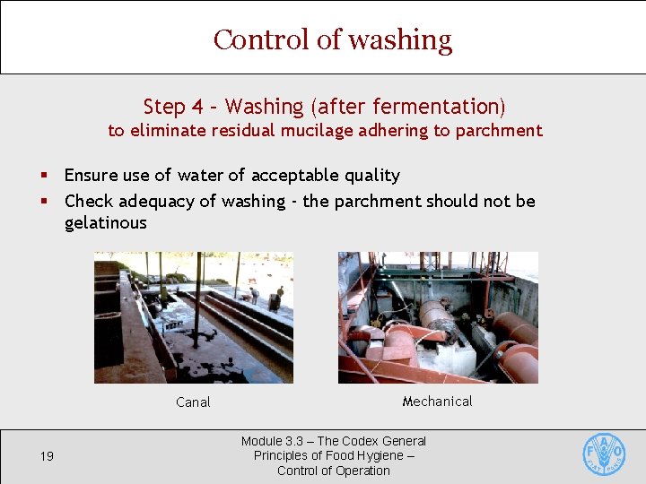 Control of washing Step 4 – Washing (after fermentation) to eliminate residual mucilage adhering