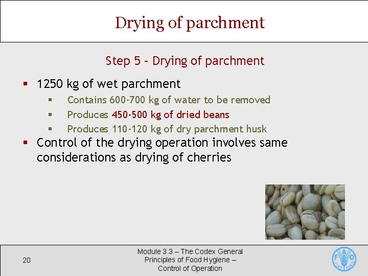 Drying of parchment Step 5 – Drying of parchment § 1250 kg of wet