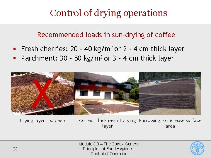 Control of drying operations Recommended loads in sun-drying of coffee § Fresh cherries: 20