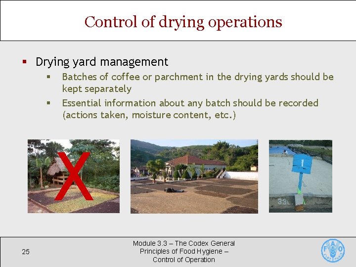 Control of drying operations § Drying yard management § § 25 Batches of coffee