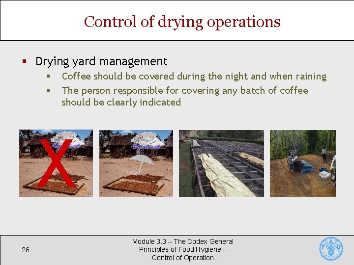 Control of drying operations § Drying yard management § § 26 Coffee should be