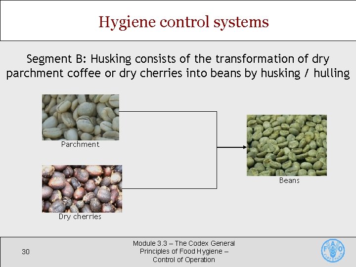 Hygiene control systems Segment B: Husking consists of the transformation of dry parchment coffee