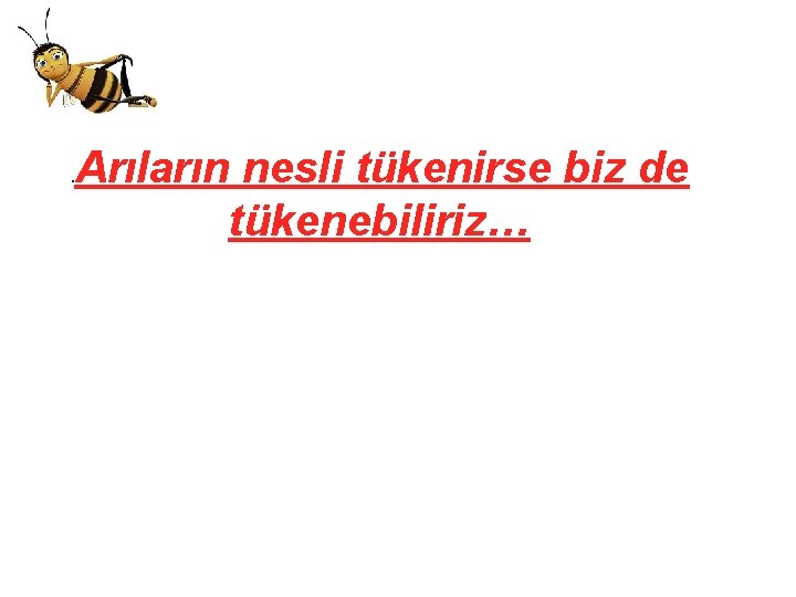 . Arıların nesli tükenirse biz de tükenebiliriz… 