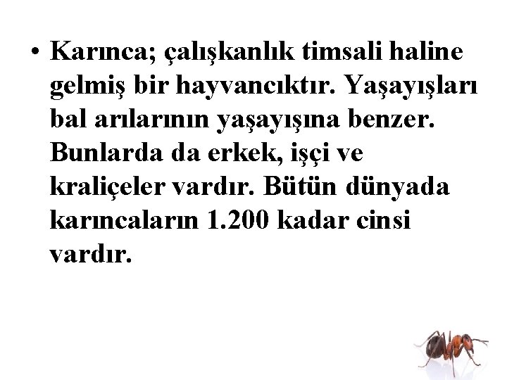  • Karınca; çalışkanlık timsali haline gelmiş bir hayvancıktır. Yaşayışları bal arılarının yaşayışına benzer.