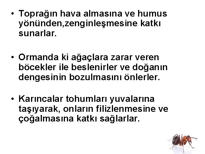  • Toprağın hava almasına ve humus yönünden, zenginleşmesine katkı sunarlar. • Ormanda ki