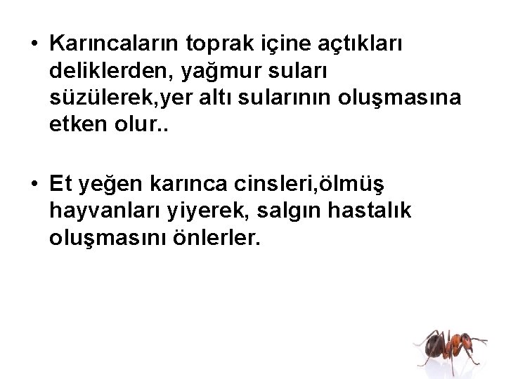  • Karıncaların toprak içine açtıkları deliklerden, yağmur suları süzülerek, yer altı sularının oluşmasına