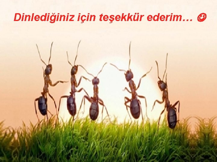 Dinlediğiniz için teşekkür ederim… 