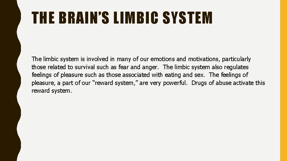 THE BRAIN’S LIMBIC SYSTEM The limbic system is involved in many of our emotions