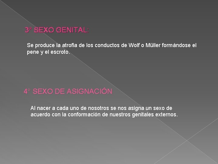 3° SEXO GENITAL: Se produce la atrofia de los conductos de Wolf o Müller 3° SEXO GENITAL: Se produce la atrofia de los conductos de Wolf o Müller