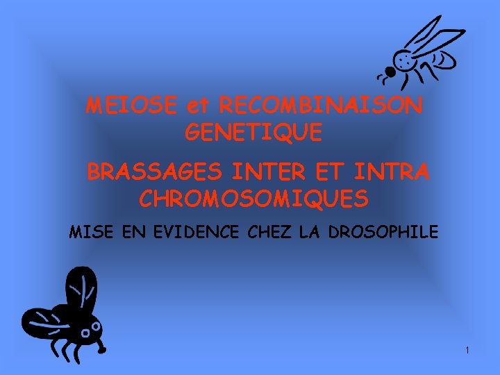 MEIOSE et RECOMBINAISON GENETIQUE BRASSAGES INTER ET INTRA CHROMOSOMIQUES MISE EN EVIDENCE CHEZ LA