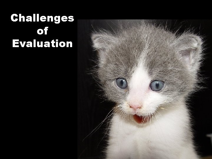 Challenges of Evaluation 