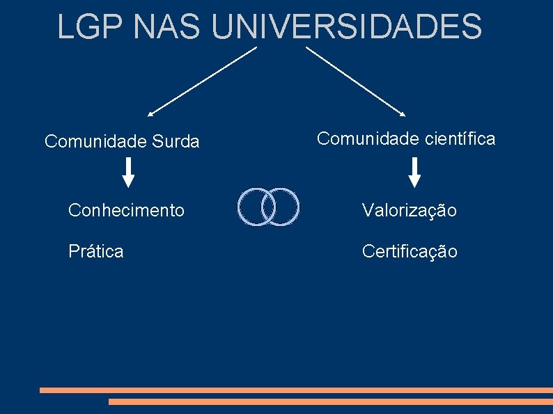 LGP NAS UNIVERSIDADES Comunidade Surda Comunidade científica Conhecimento Valorização Prática Certificação 