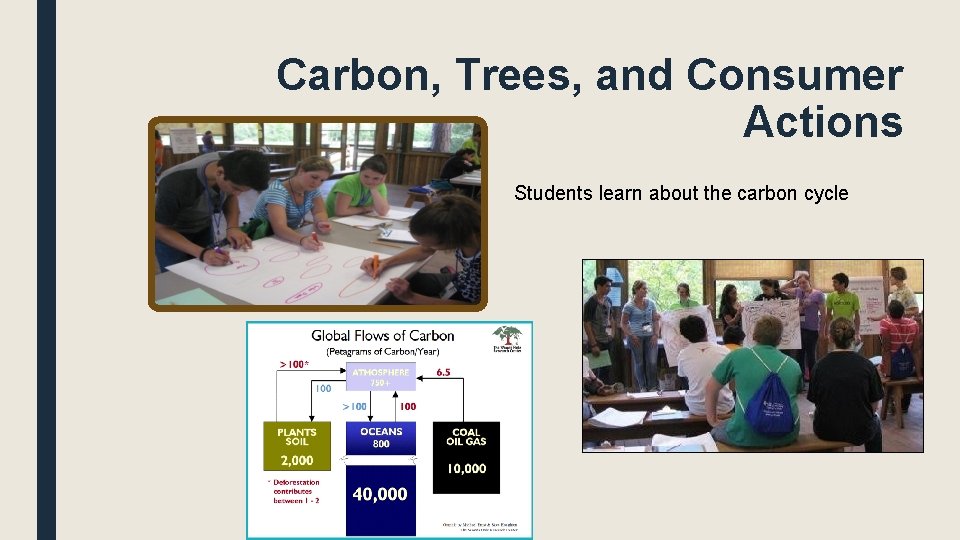 Carbon, Trees, and Consumer Actions Students learn about the carbon cycle 