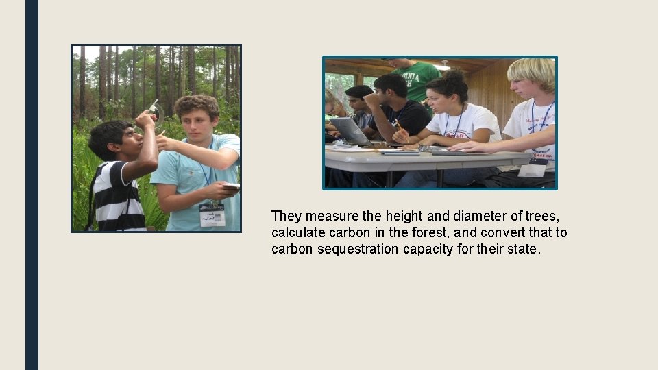 They measure the height and diameter of trees, calculate carbon in the forest, and