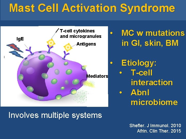  Mast Cell Activation Syndrome Ig. E T-cell cytokines and microgranules Antigens • MC