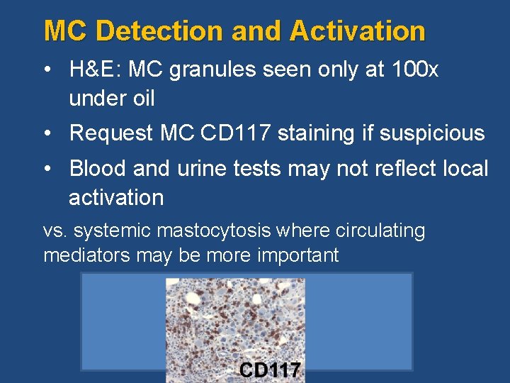 MC Detection and Activation • H&E: MC granules seen only at 100 x under