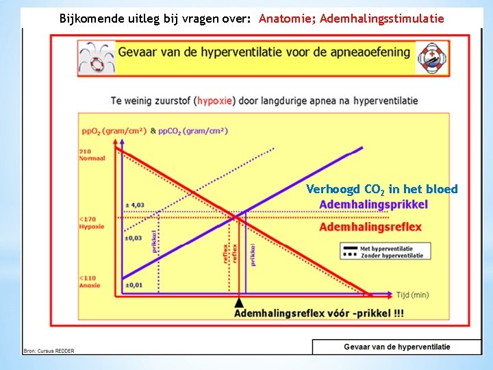 Bijkomende uitleg bij vragen over: Anatomie; Ademhalingsstimulatie Verhoogd CO 2 in het bloed 