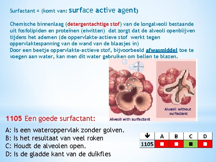 Surfactant = (komt van: surface active agent) Chemische binnenlaag (detergentachtige stof) van de longalveoli
