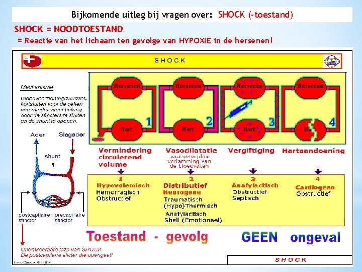 Bijkomende uitleg bij vragen over: SHOCK (-toestand) SHOCK = NOODTOESTAND = Reactie van het