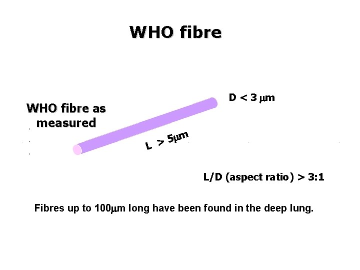 WHO fibre D < 3 mm WHO fibre as measured L mm 5 >