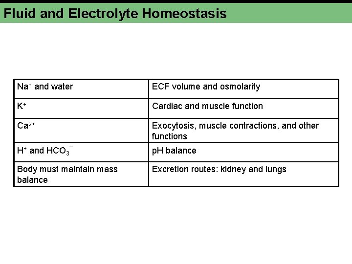 Fluid and Electrolyte Homeostasis Na+ and water ECF volume and osmolarity K+ Cardiac and