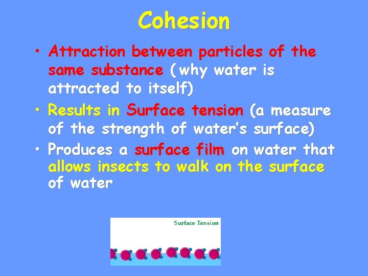 Cohesion • Attraction between particles of the same substance ( why water is attracted