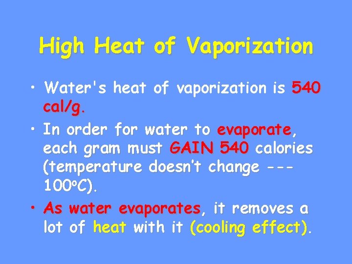 High Heat of Vaporization • Water's heat of vaporization is 540 cal/g. • In