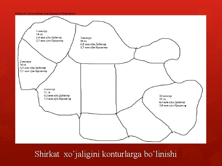 Shirkat xo’jaligini konturlarga bo’linishi 