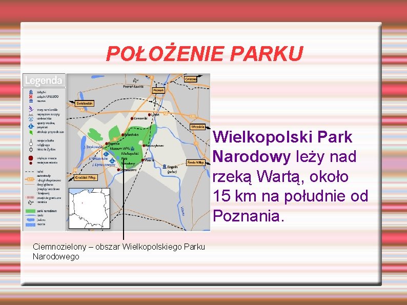 POŁOŻENIE PARKU Wielkopolski Park Narodowy leży nad rzeką Wartą, około 15 km na południe