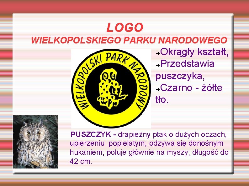 LOGO WIELKOPOLSKIEGO PARKU NARODOWEGO Okrągły kształt, ➔Przedstawia puszczyka, ➔Czarno - żółte tło. ➔ PUSZCZYK