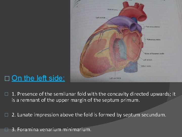 � On the left side: � 1. Presence of the semilunar fold with the