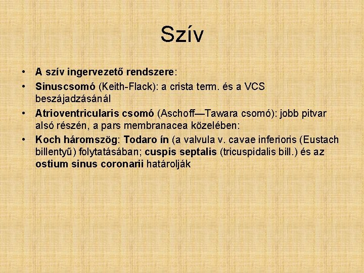 Szív • A szív ingervezető rendszere: • Sinuscsomó (Keith-Flack): a crista term. és a