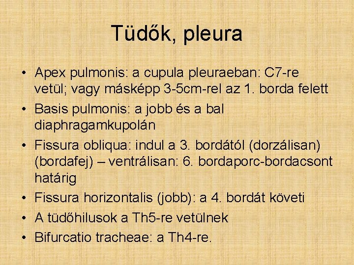 Tüdők, pleura • Apex pulmonis: a cupula pleuraeban: C 7 -re vetül; vagy másképp