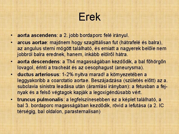 Erek • aorta ascendens: a 2. jobb bordaporc felé irányul. • arcus aortae: majdnem Erek • aorta ascendens: a 2. jobb bordaporc felé irányul. • arcus aortae: majdnem