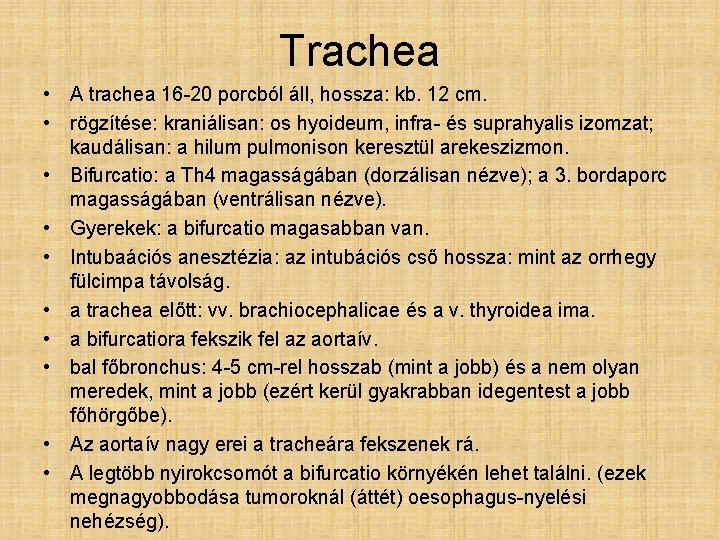 Trachea • A trachea 16 -20 porcból áll, hossza: kb. 12 cm. • rögzítése: