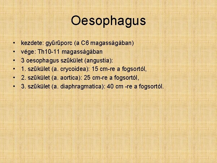 Oesophagus • • • kezdete: gyűrűporc (a C 6 magasságában) vége: Th 10 -11