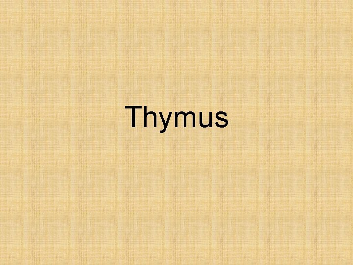 Thymus 