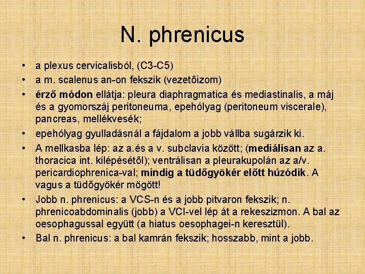 N. phrenicus • a plexus cervicalisból, (C 3 -C 5) • a m. scalenus