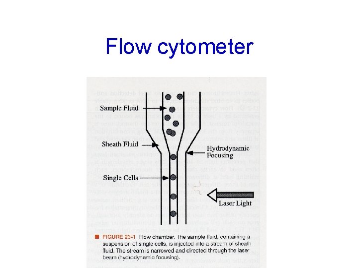 Flow cytometer 